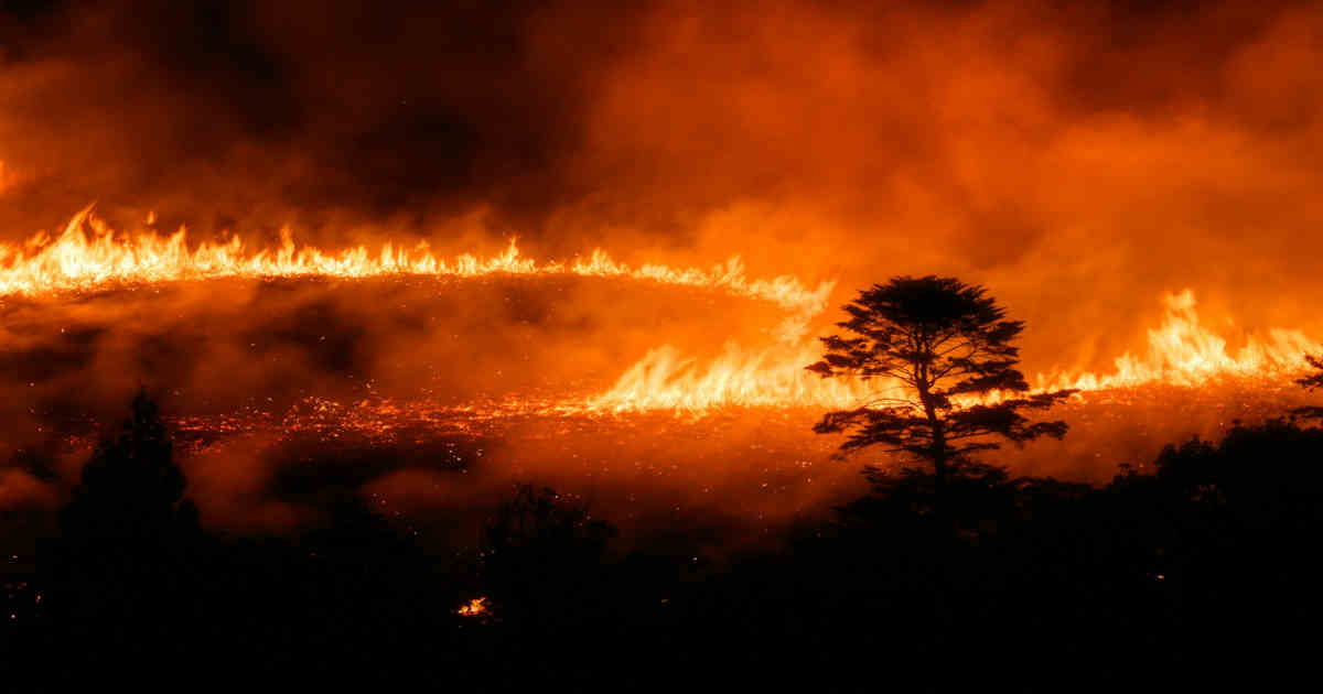burning wildfire
